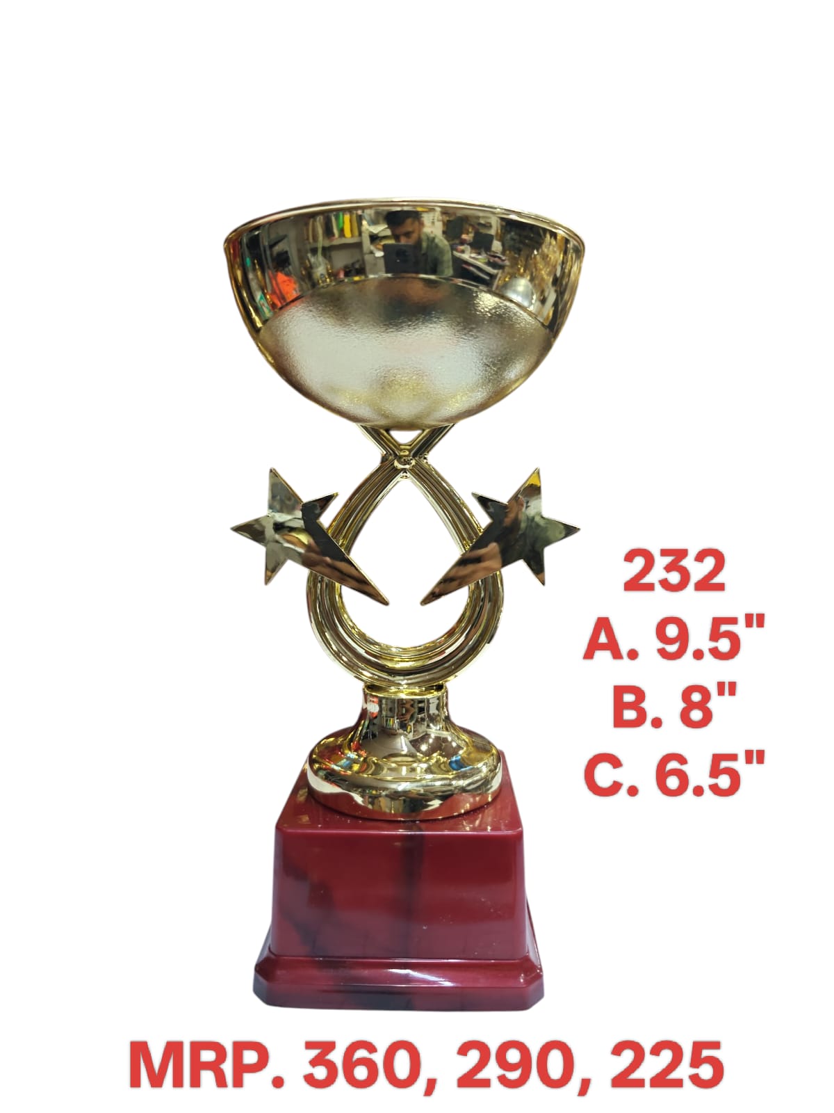 Modern Star Performer Trophy Cup